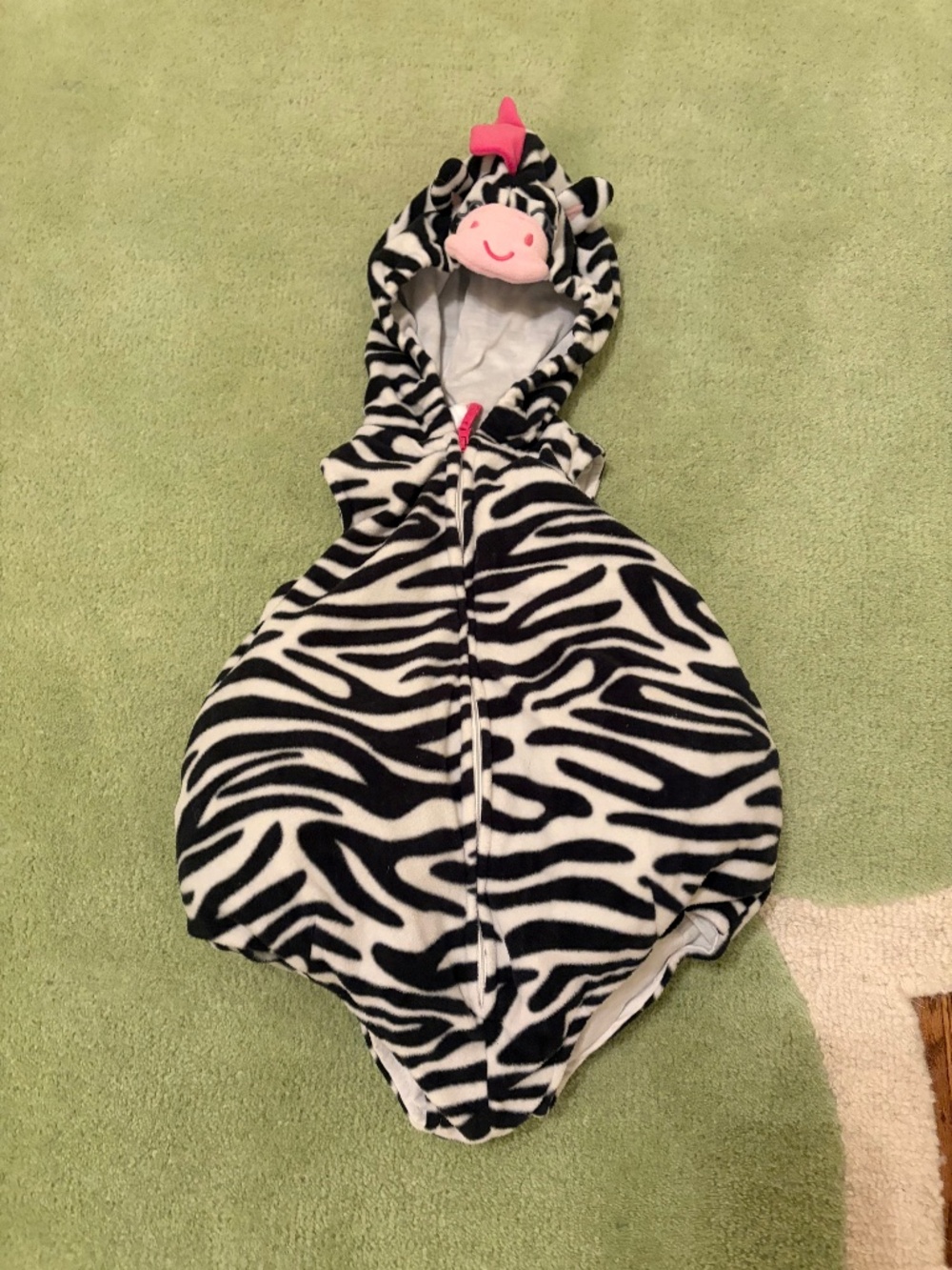 Carter’s Zebra Costume